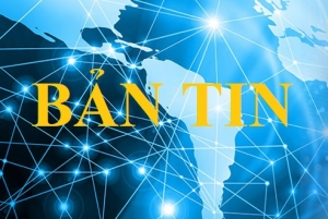 Bản tin